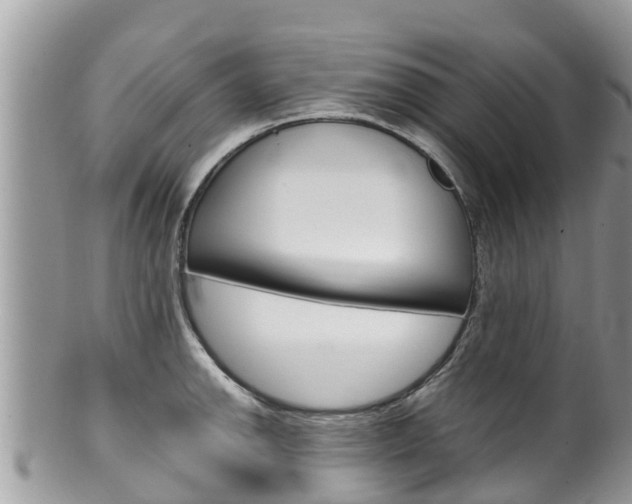 X0000100491142200806130750