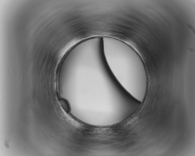 X0000100491143200806130750