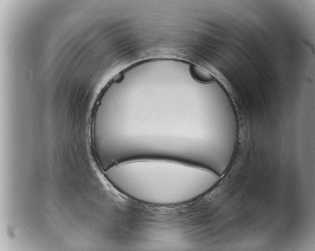 X0000100491144200806130750