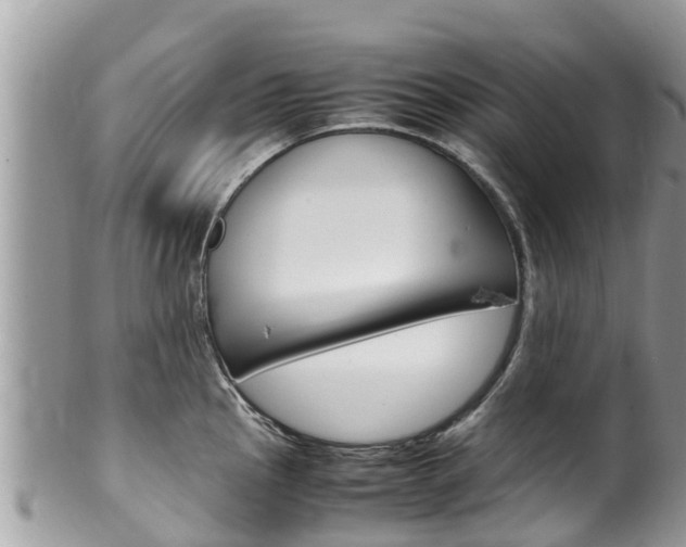 X0000100491145200806130750