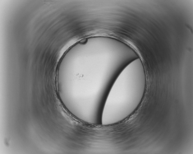 X0000100491146200806130750