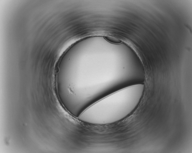 X0000100491147200806130750