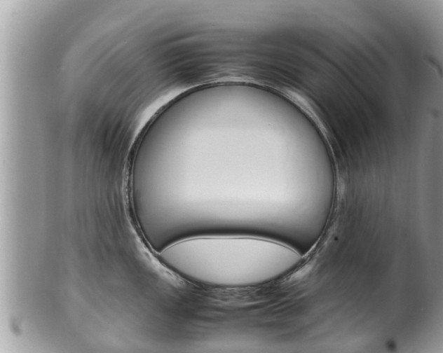 X0000100491149200806130750