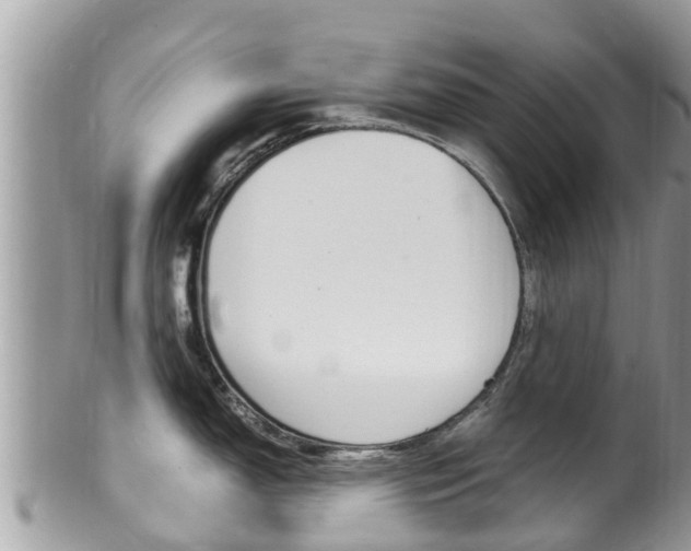 X0000100491150200806130750