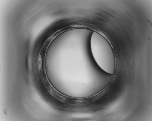 X0000100491151200806130750