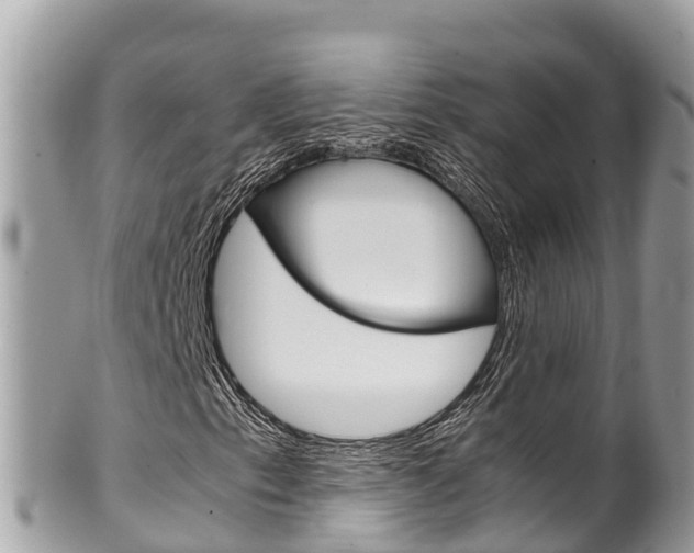 X0000100491153200806130749