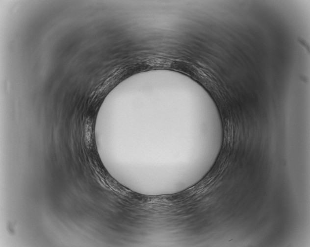 X0000100491154200806130749