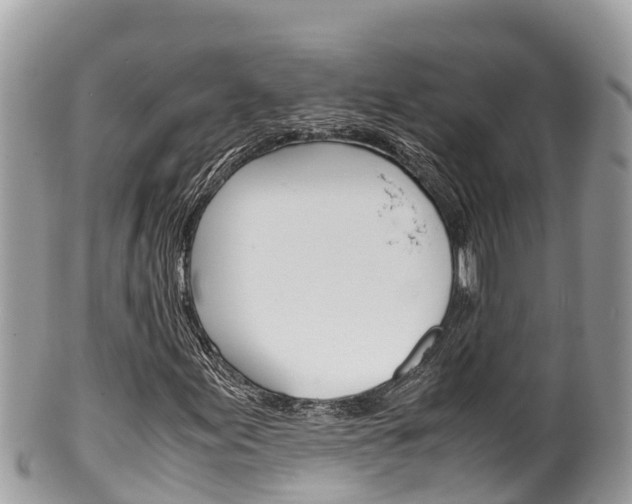 X0000100491155200806130749