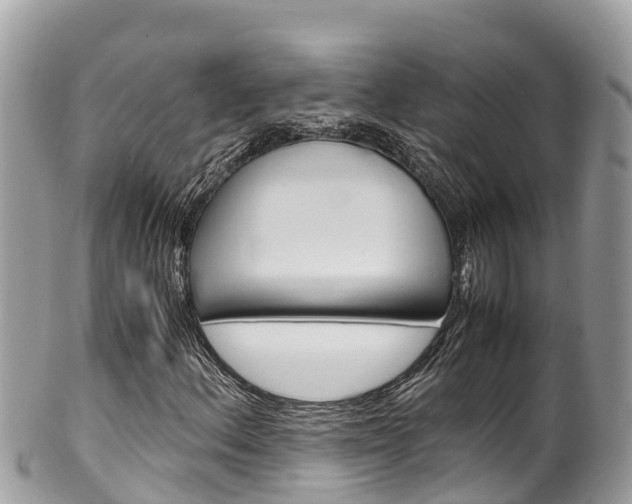 X0000100491156200806130749