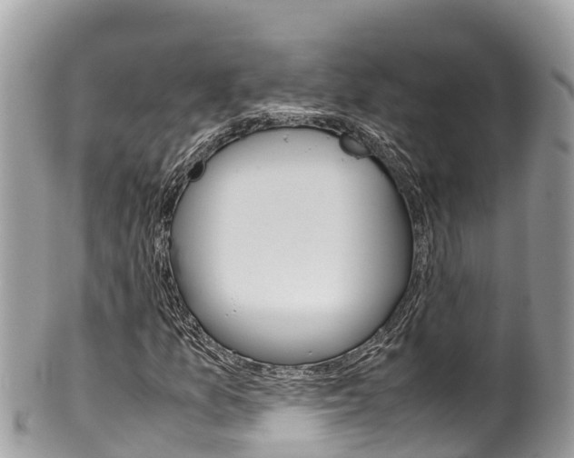 X0000100491157200806130749