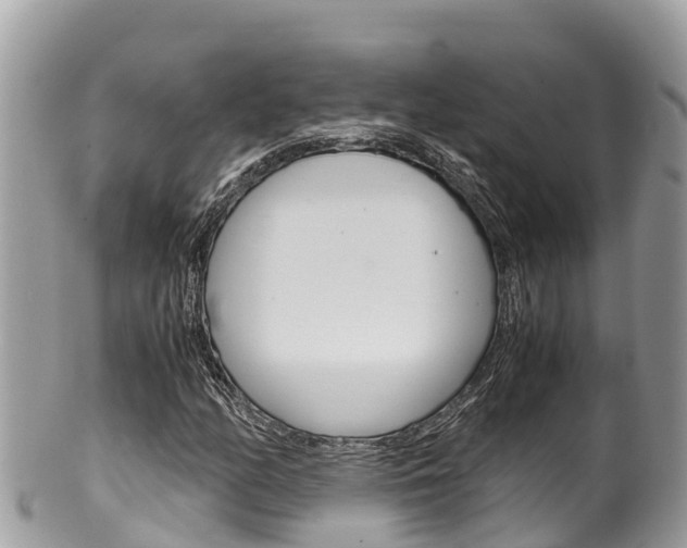X0000100491158200806130749