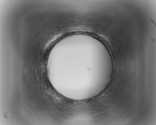 X0000100491159200806130749