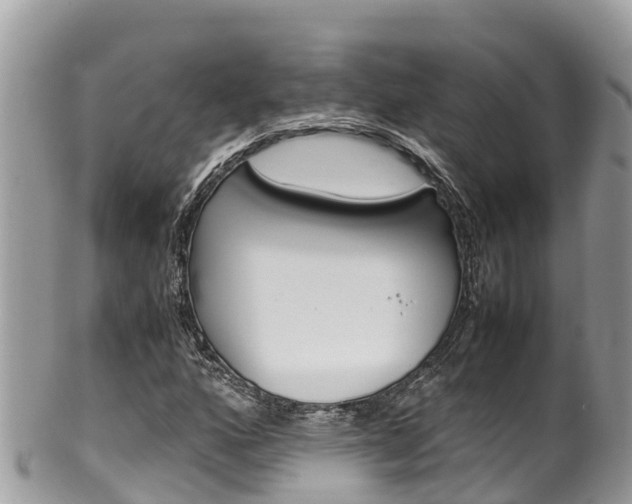 X0000100491160200806130749