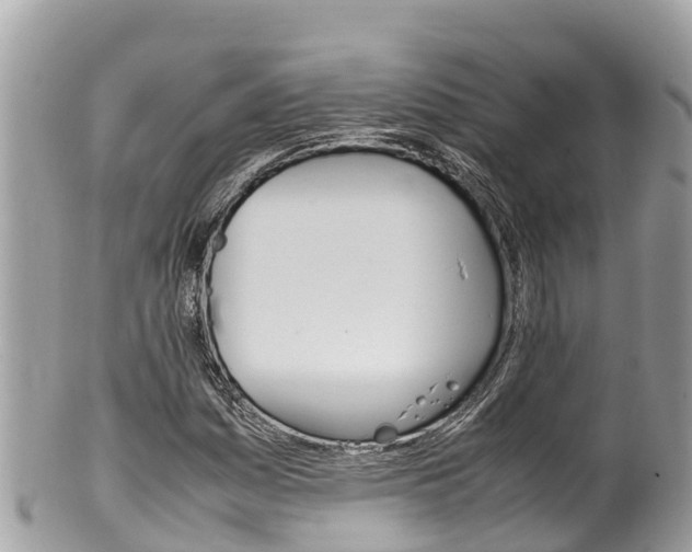 X0000100491161200806130749