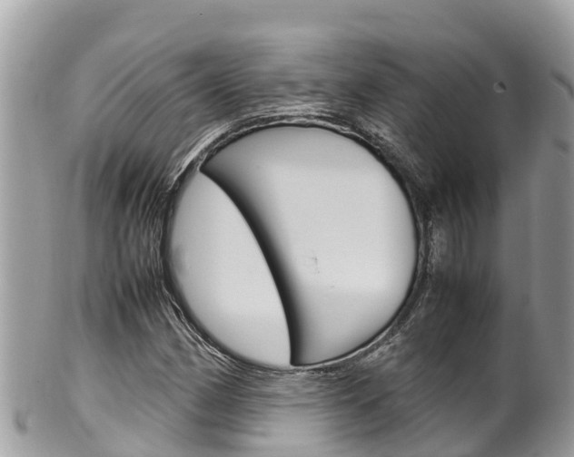 X0000100491162200806130749