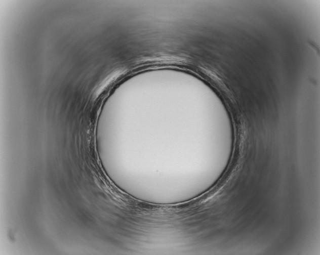 X0000100491163200806130749