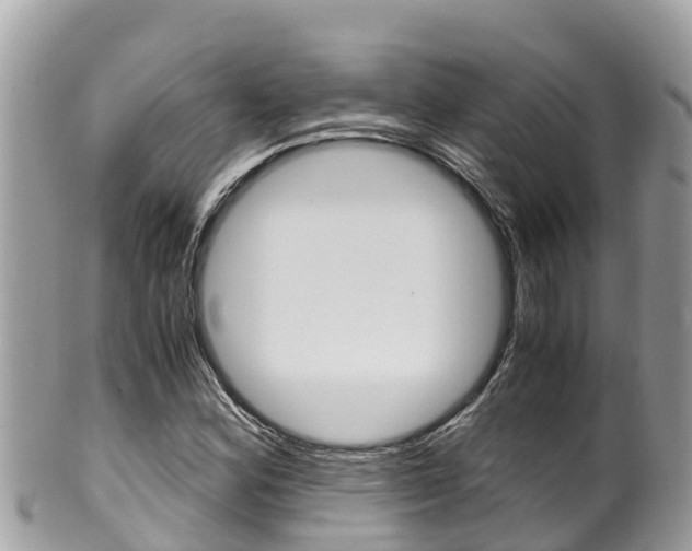 X0000100491164200806130749