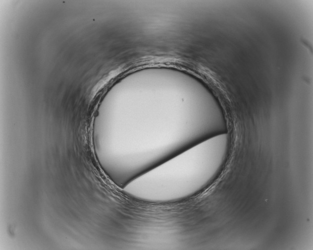 X0000100491165200806130749