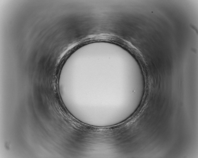X0000100491166200806130749