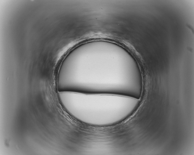 X0000100491167200806130749
