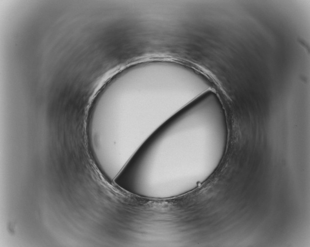 X0000100491168200806130749