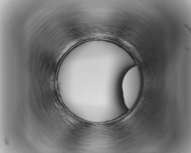 X0000100491170200806130749