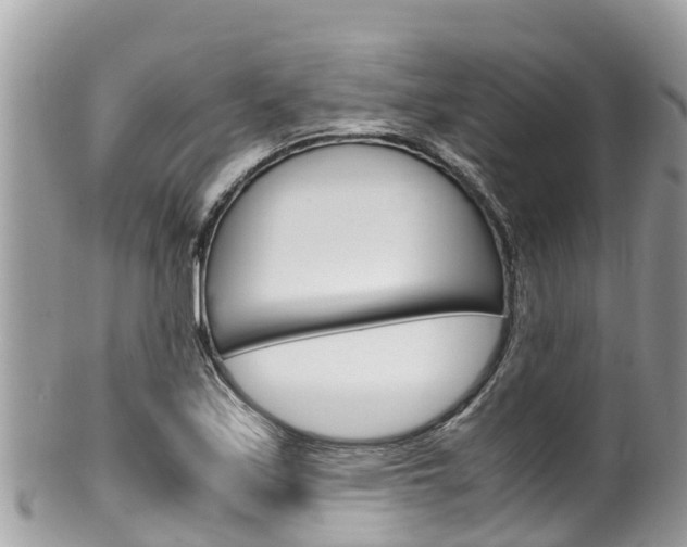 X0000100491171200806130749