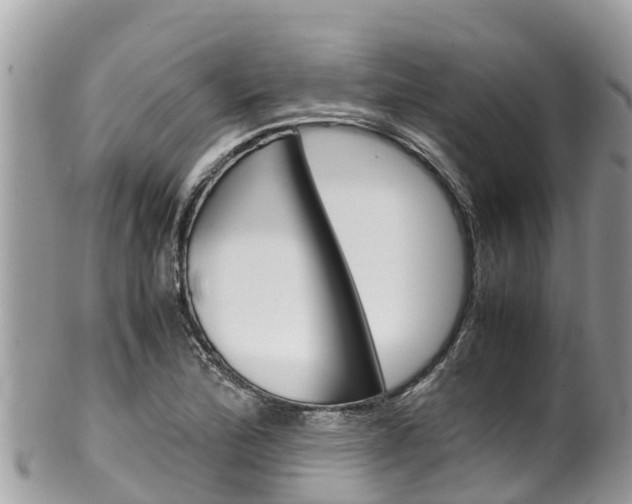 X0000100491172200806130749