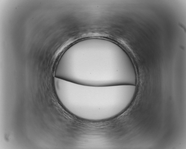 X0000100491173200806130749