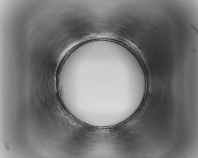 X0000100491174200806130749