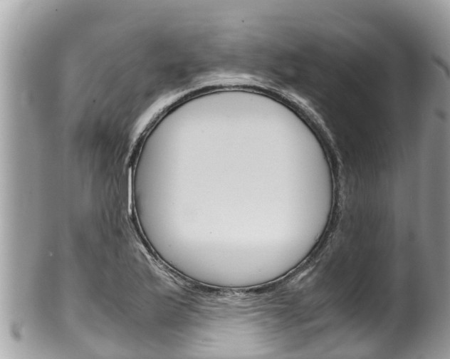 X0000100491175200806130749