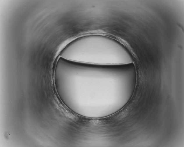 X0000100491176200806130749
