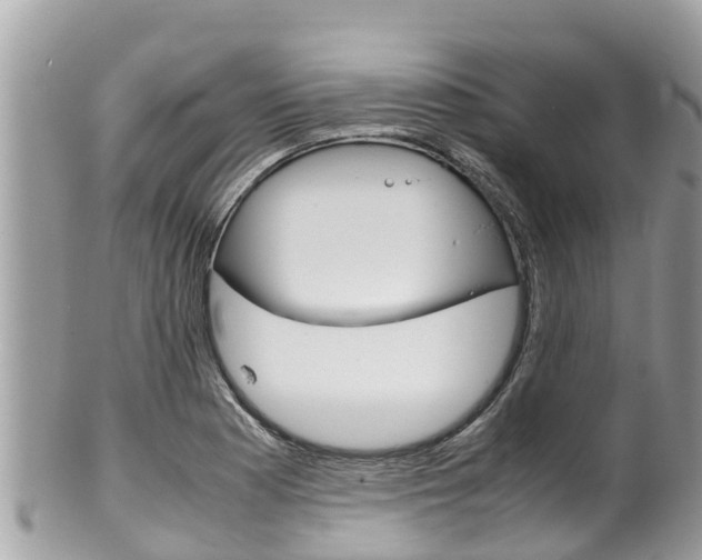 X0000100491177200806130749