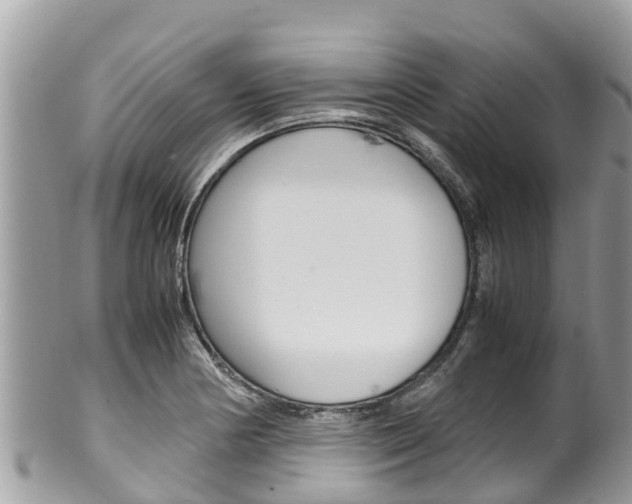 X0000100491178200806130749