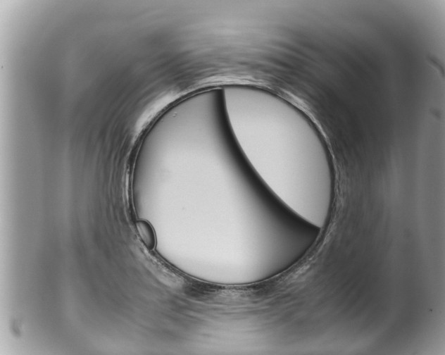 X0000100491179200806130749