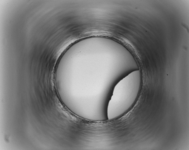 X0000100491182200806130749
