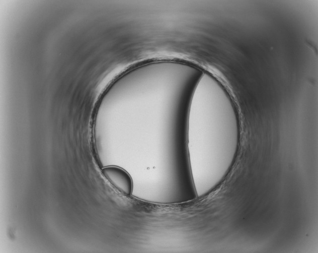 X0000100491183200806130749