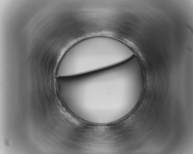 X0000100491184200806130749