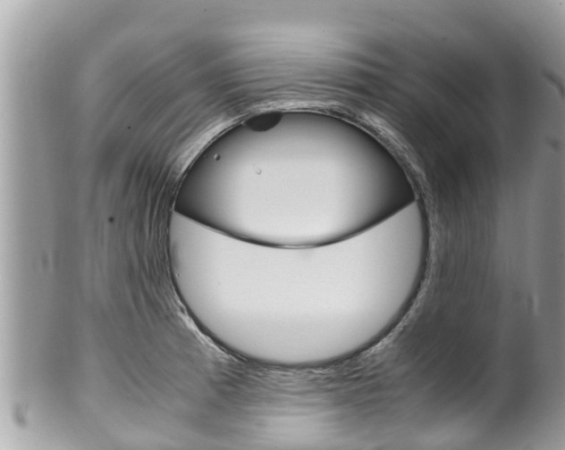 X0000100491185200806130749