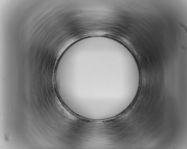 X0000100491186200806130749