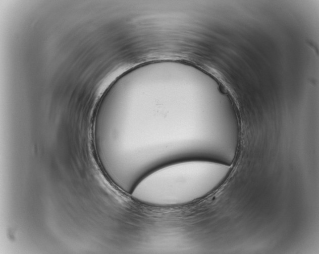 X0000100491187200806130749
