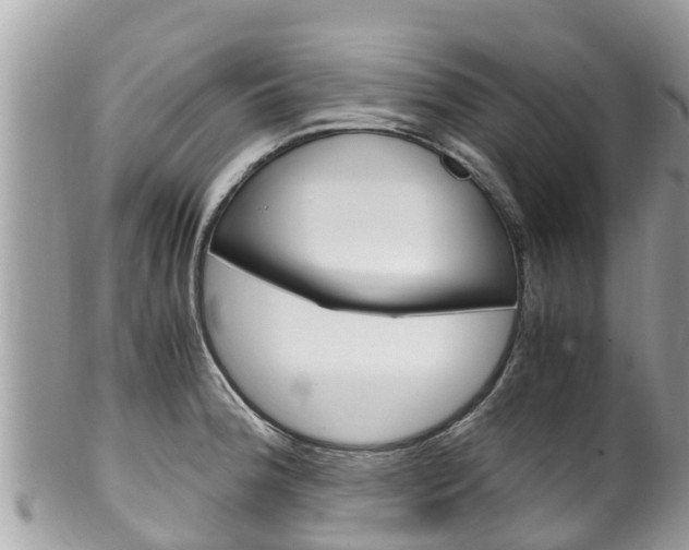X0000100491188200806130749