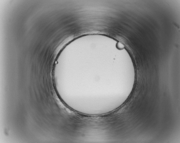 X0000100491189200806130749