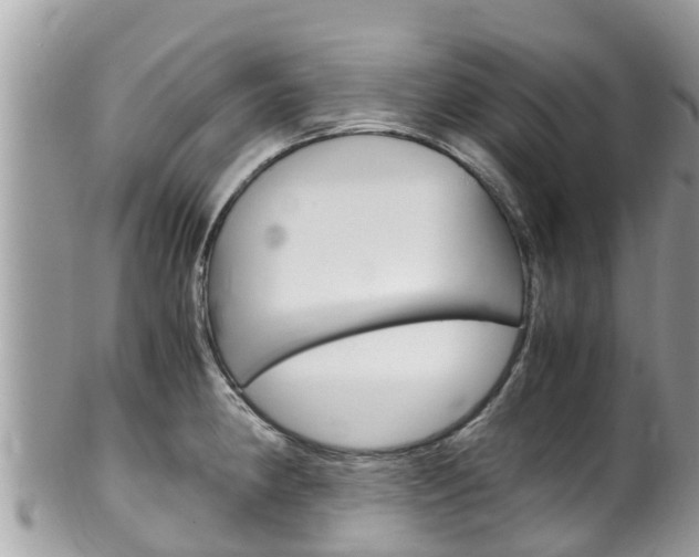 X0000100491190200806130749