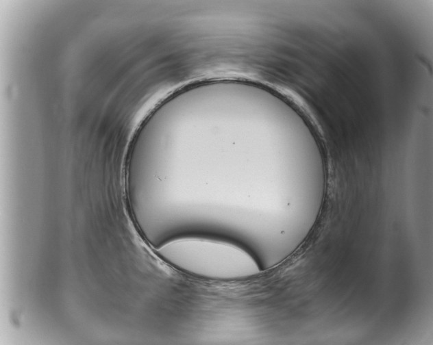 X0000100491191200806130748