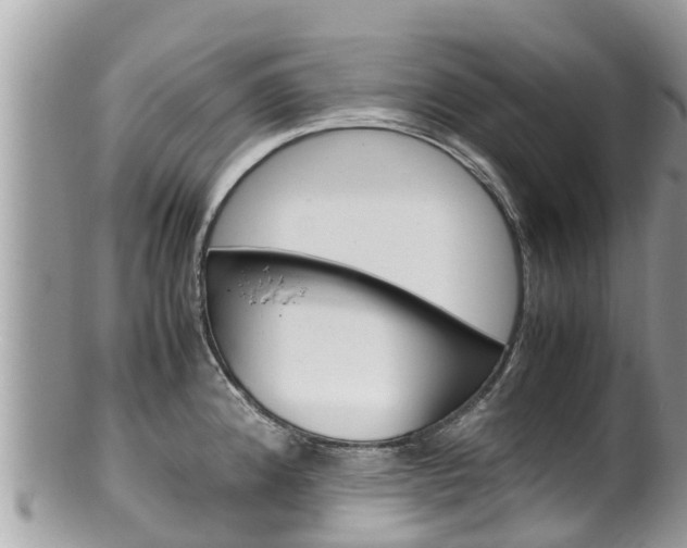 X0000100491192200806130748