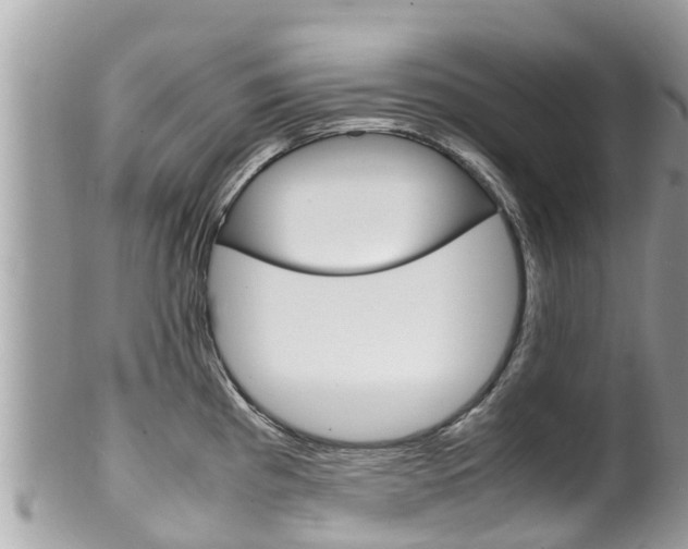 X0000100491193200806130748