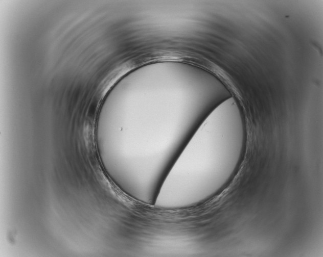 X0000100491194200806130748