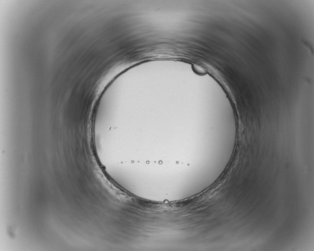 X0000100491195200806130748