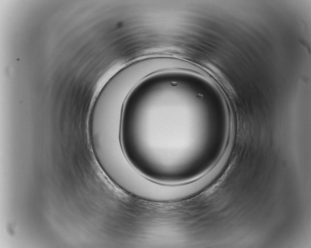 X0000100491196200806130748